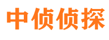 武平私家调查